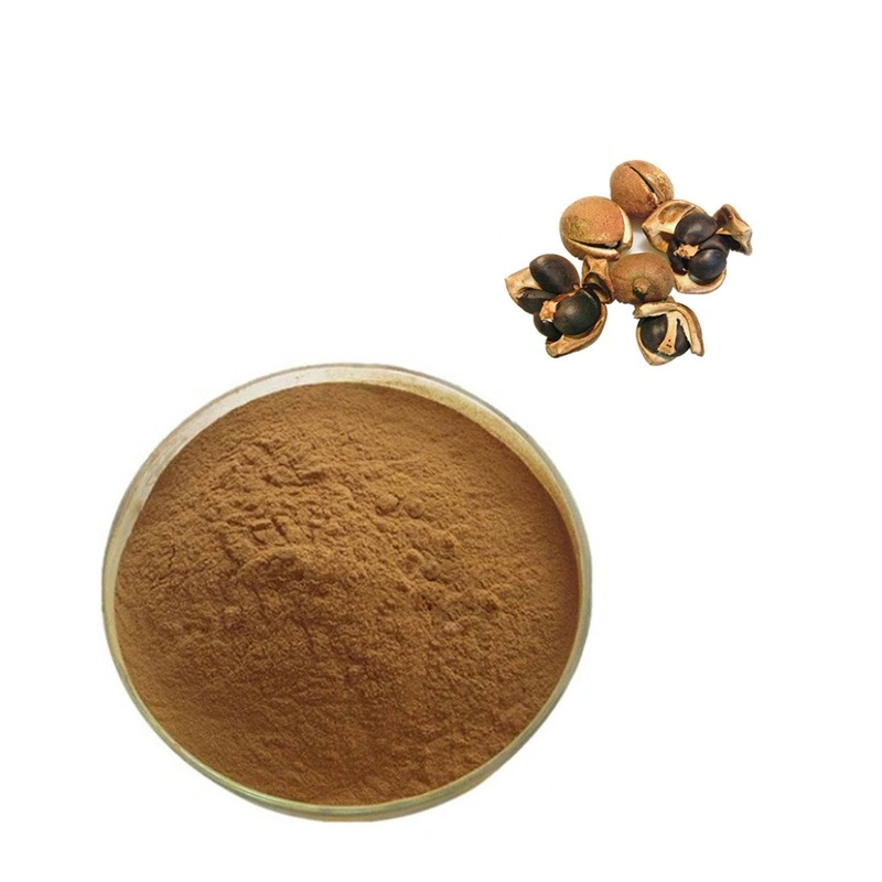 Camellia Seed Extract Tea Saponin 60%~98% Powder