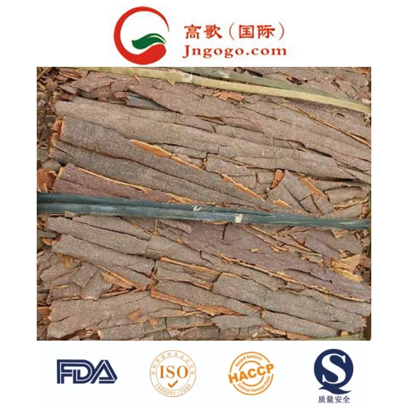 High-Quality Chinese Cassia - Long-Lasting Shelf Life