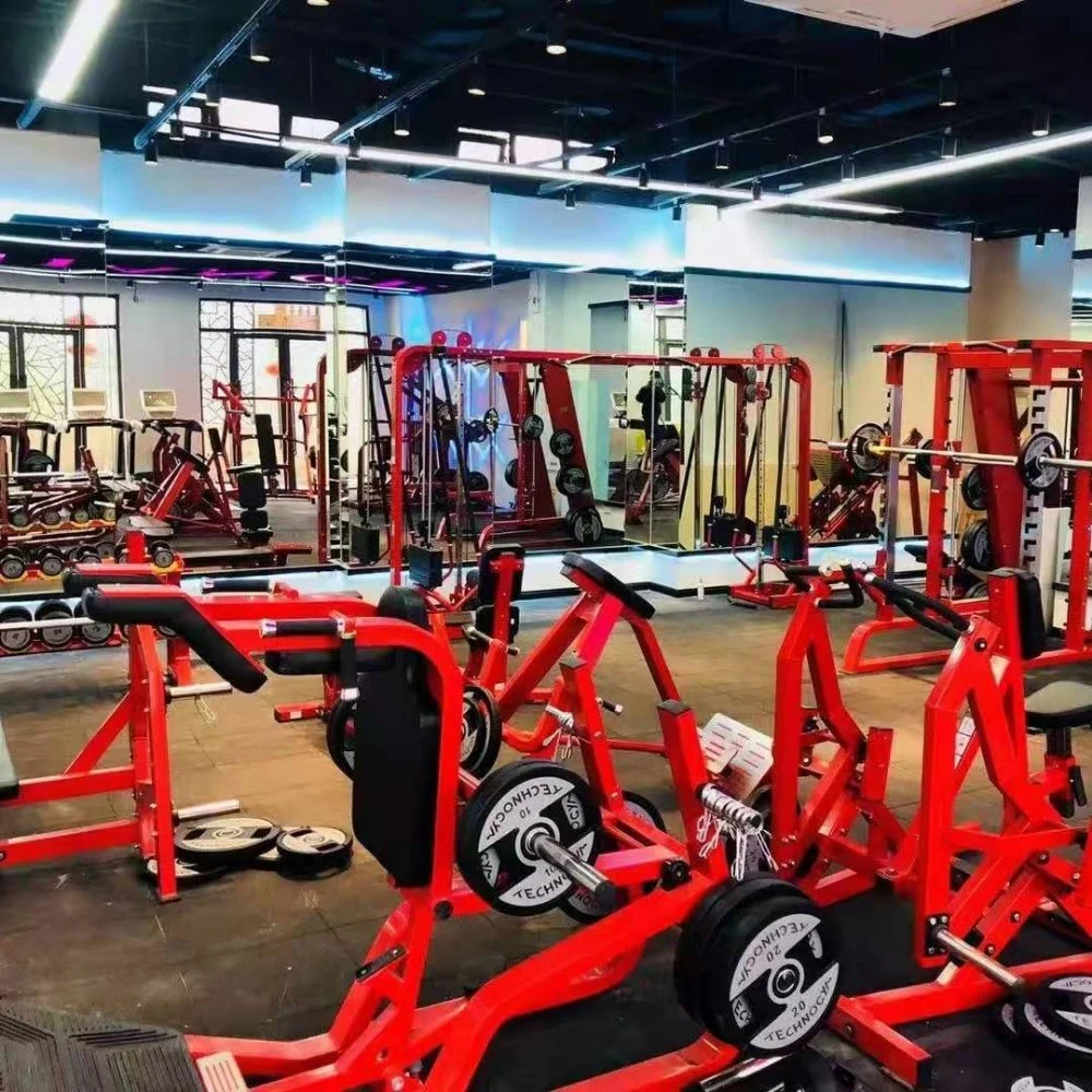 Corps de construction de l'exercice de remise en forme Salle de Gym Sports de force d'un marteau pour l'ISO-niveau ligne latérale