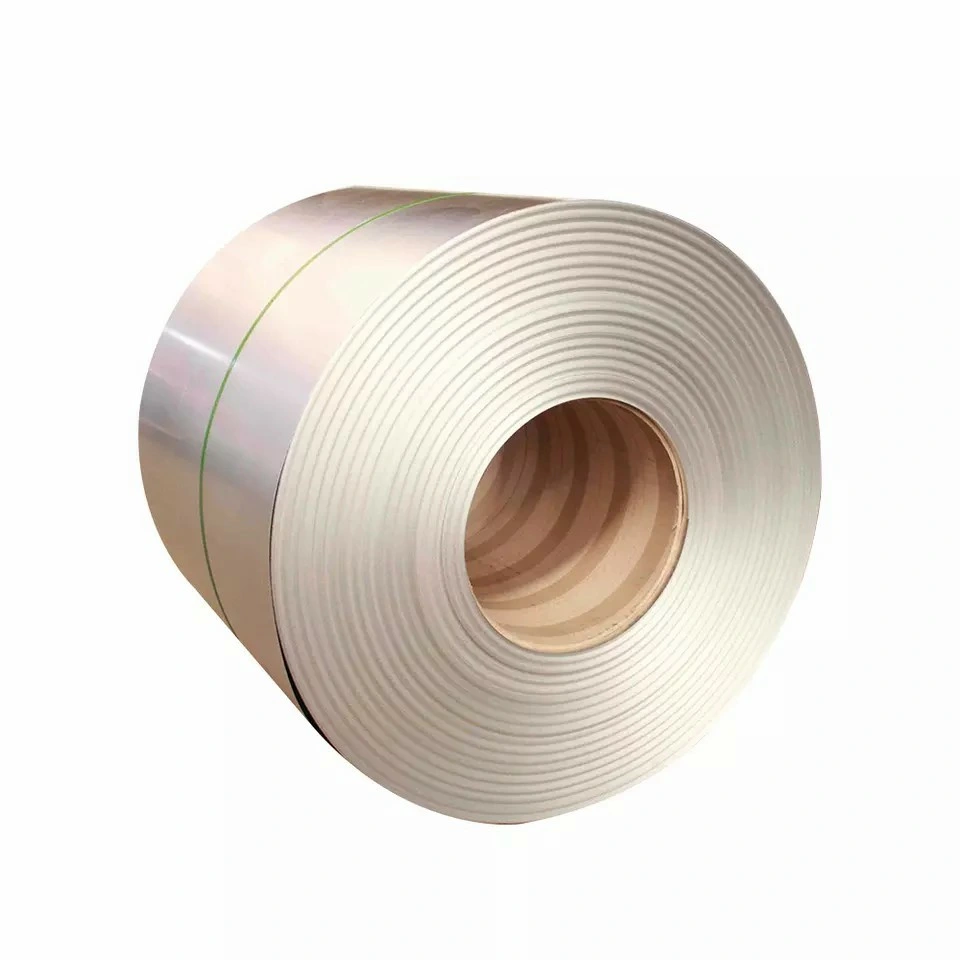 Ss 316L/317L/304/409/309S ASTM Cold Rolled Hot Rolled Stainless Steel Plate/Sheet/Coil/Strip Manufacturers Low Price Stainless Steel Coil