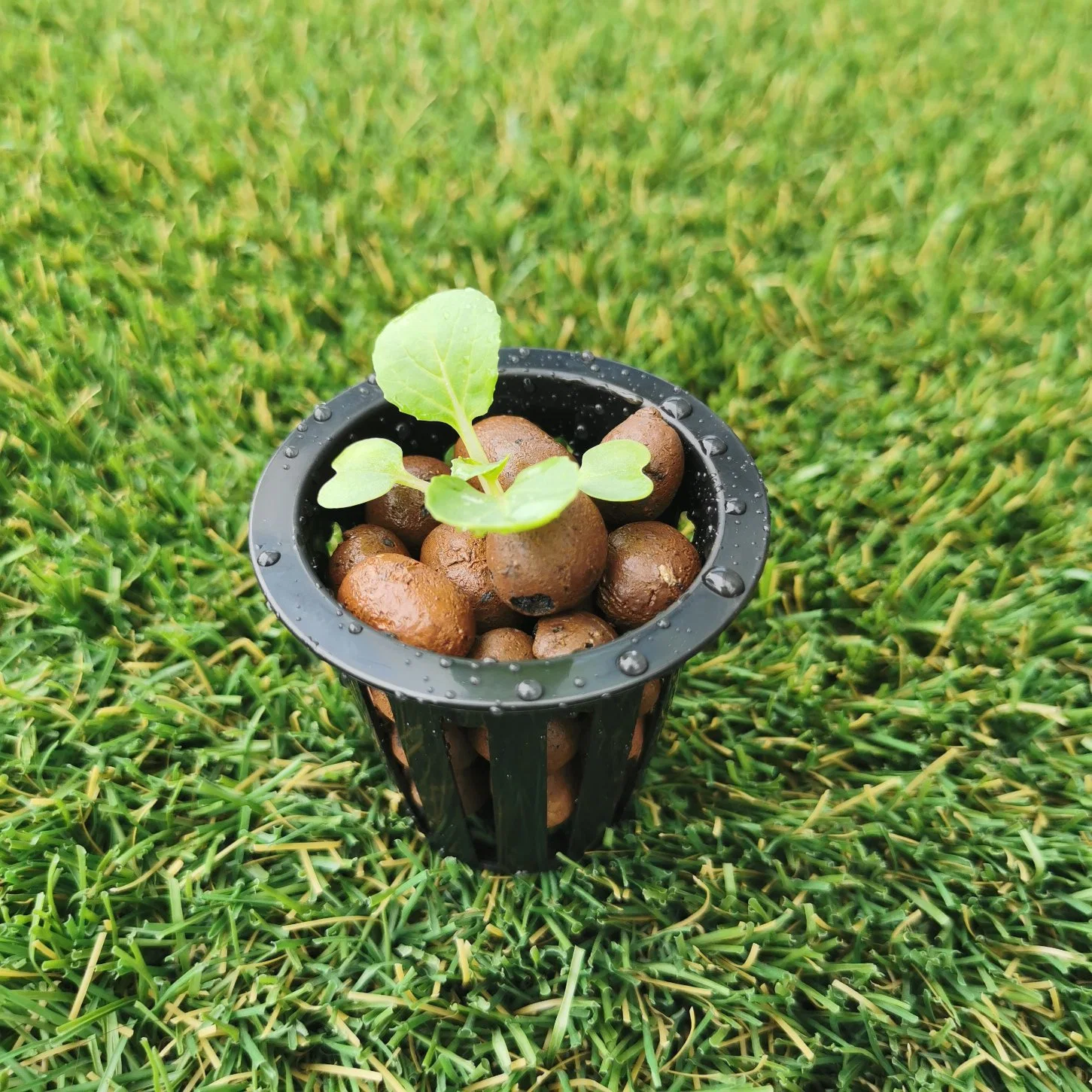 La agricultura de malla de plástico de invernadero de plástico Bote de cultivo macetas Maceta