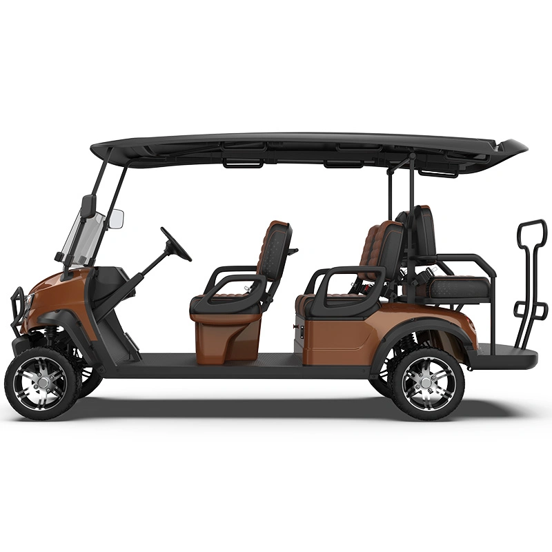 Los asientos baratos 2 4 BUGGY ELÉCTRICO turismo alquiler de carros de golf