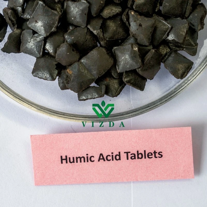 Agriculture Humic Acid Granule Chemical Compound Fertilizer Promote Plant Growth Organic Fertilizer