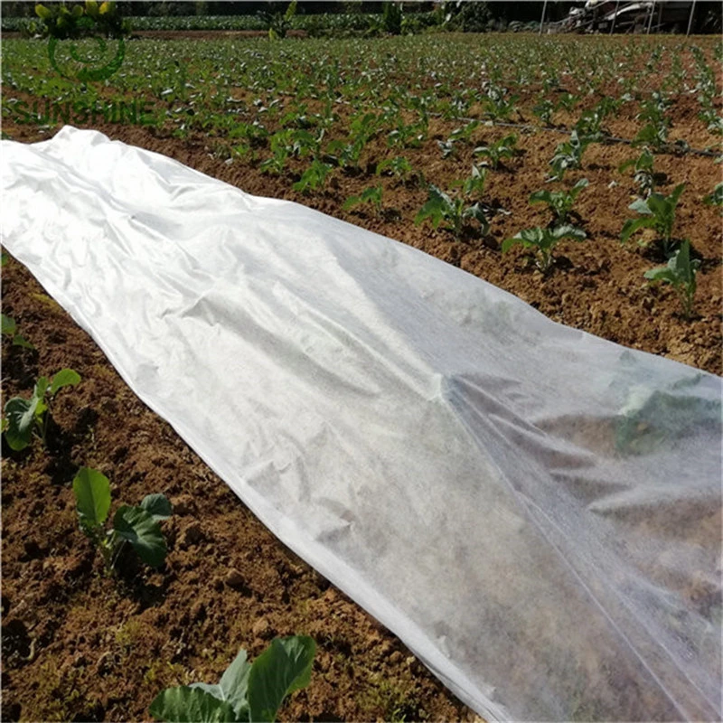 Tissu non tissé en polypropylène 100% blanc pour couverture agricole protégeant les plantes.