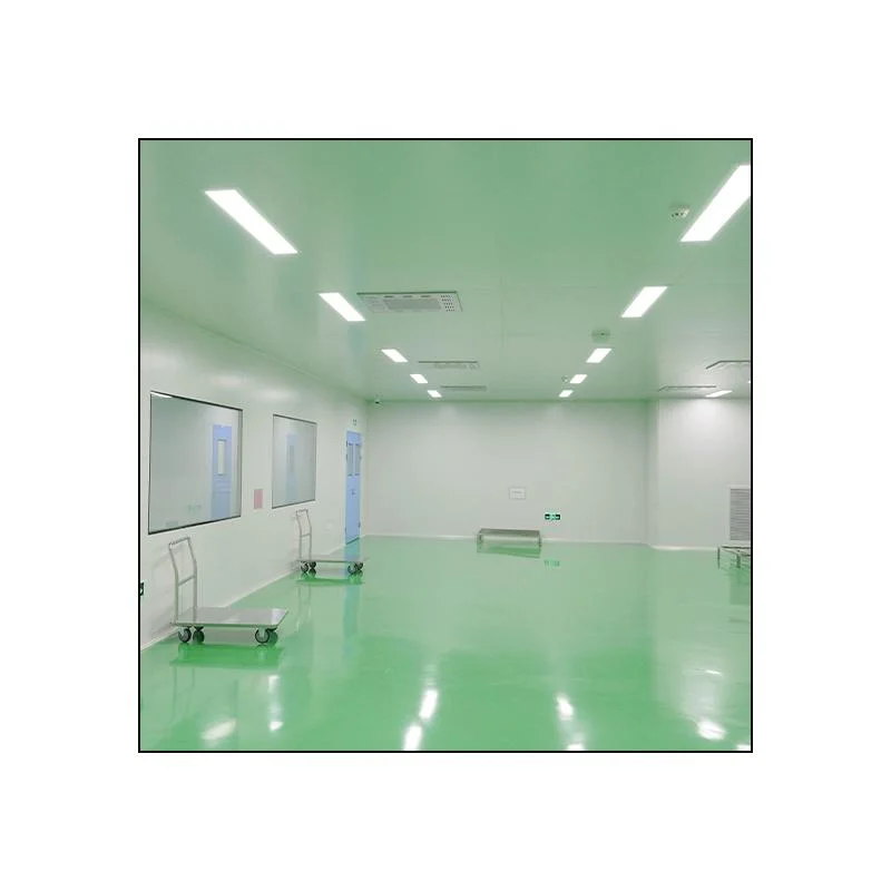 Food Processing Electronic Clean Room HVAC Cleanroom Turnkey Project