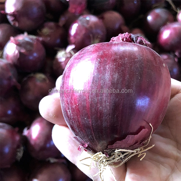 2022 de alta calidad fresco 10kg/20kg bolsa de malla de color rojo cebollas peladas