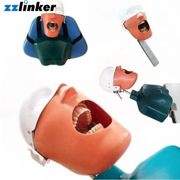 Lc-OS24 de la cabeza del maniquí maniquí molde simple simulador Dental de la cabeza con la correa para la formación