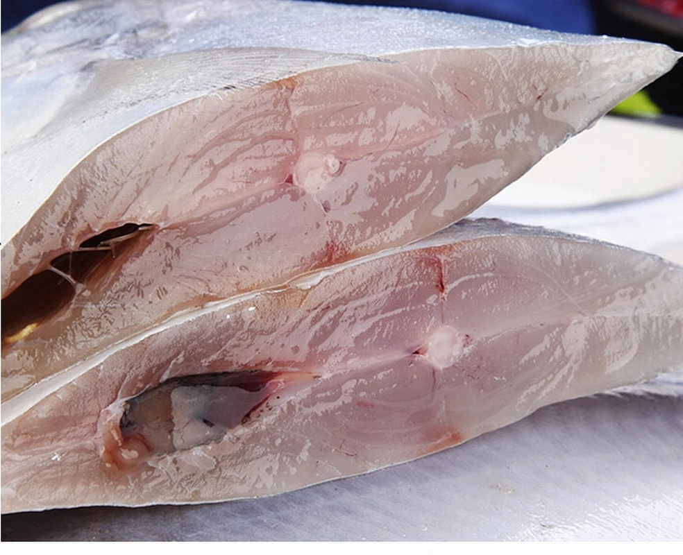 Frozen Silver Pomfret Fish, Whole Round