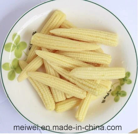 Canned Whole Baby Corn with Cheap Price