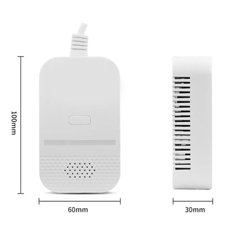 New Arrival Security Alarm Sf6 Gas Leakage Detector with Solenoid Valve