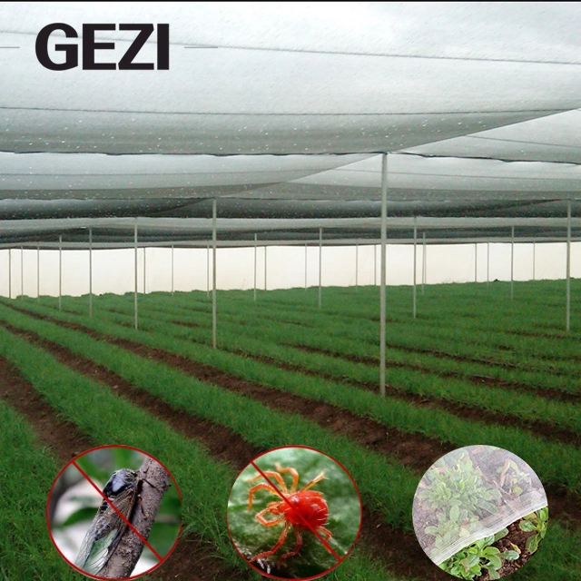 PE 50X50 Transparente agrícola túnel insectos Net un pequeño jardín invernadero