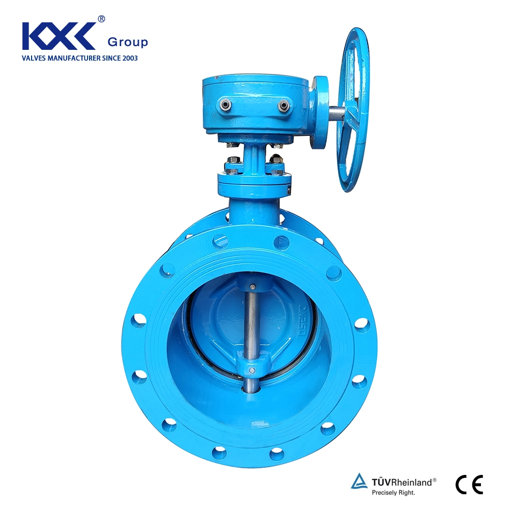 Eccentric Butterfly Valve Butterfly En593 DN350 Pn10 Narrow Body Certificated Double Eccentric