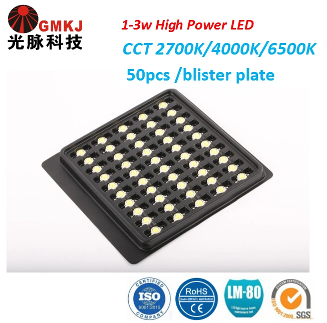 Nuevo diseño 2022 Hot Sales LED Power 520nm 530nm