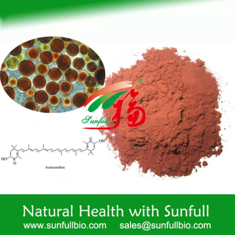 Extrait de plante Nutural 1%~3 % de l'Astaxanthine poudre/5 % de l'Astaxanthine oléorésines naturelles puissant antioxydant Effets