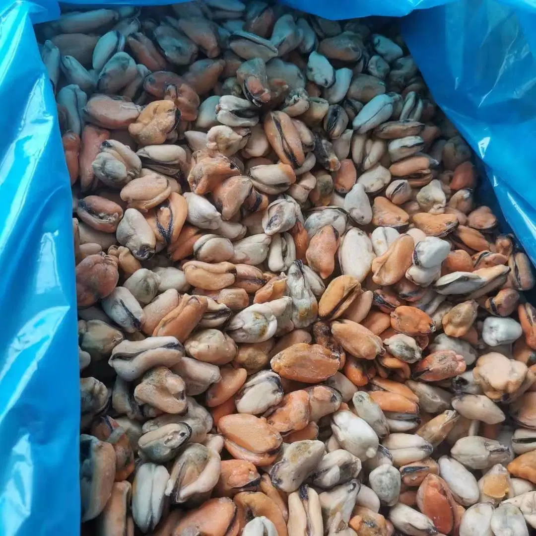 Ifq Frozen Mussel Meat 100-200PCS/Kg