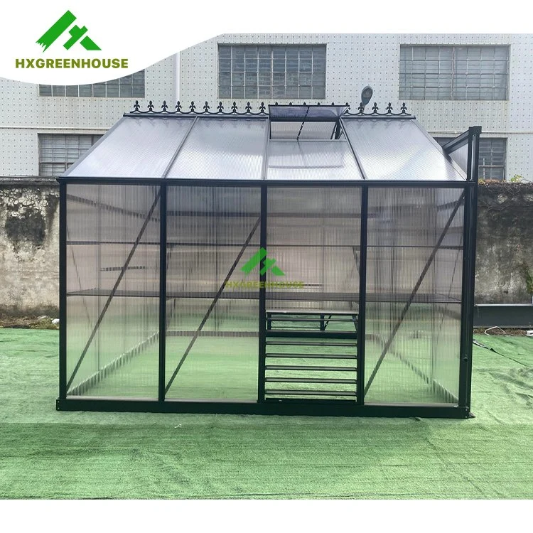 High Tunnel Greenhouse Steel Frame Hydroponic for Chickens