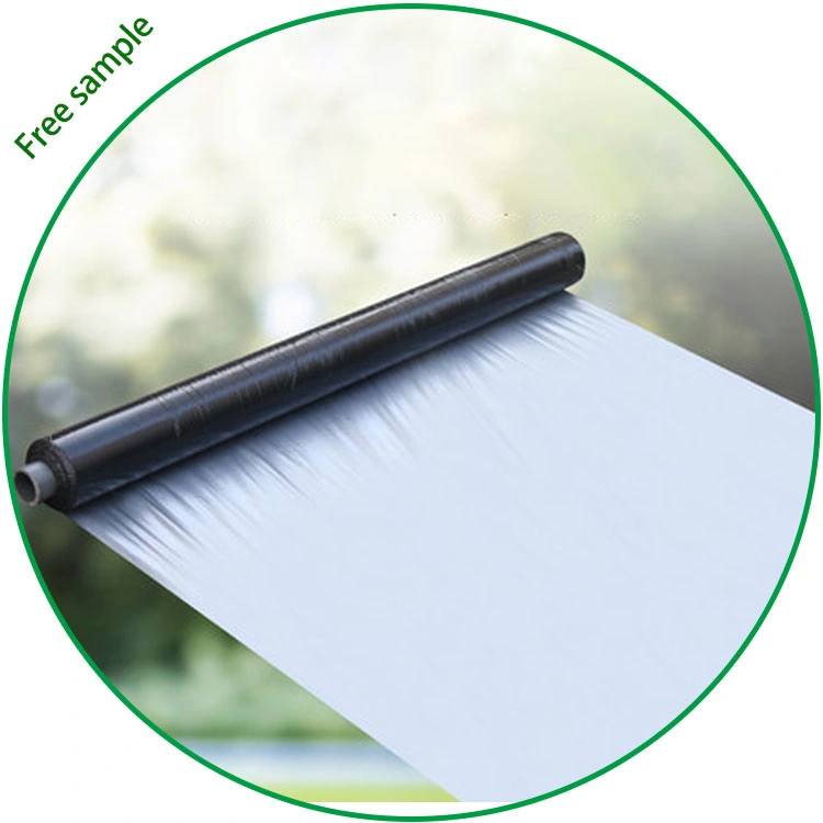 3 Layers Co-Extrusion Composite Blow Molding Plastic Mulching Film for Agricultural Greenhouse