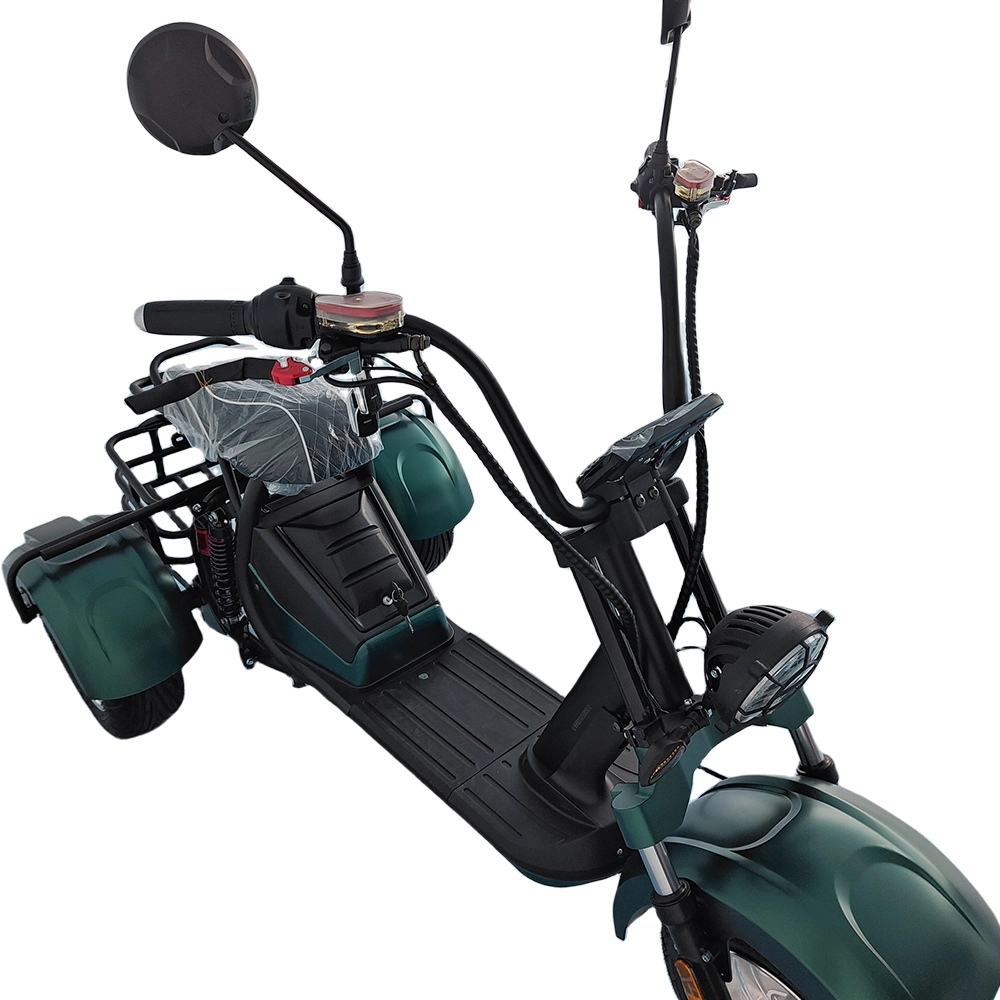 Scooters elétricas de 1500 W, com desempenho potente, 3 rodas, e orçamento acessível