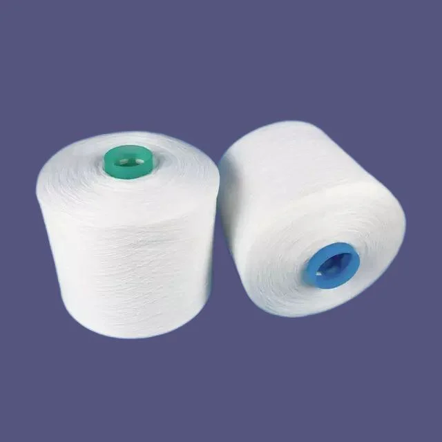 China Herstellung AAA Grade Twisted Mutiply Dyable 100% gesponnenen Polyester Garn