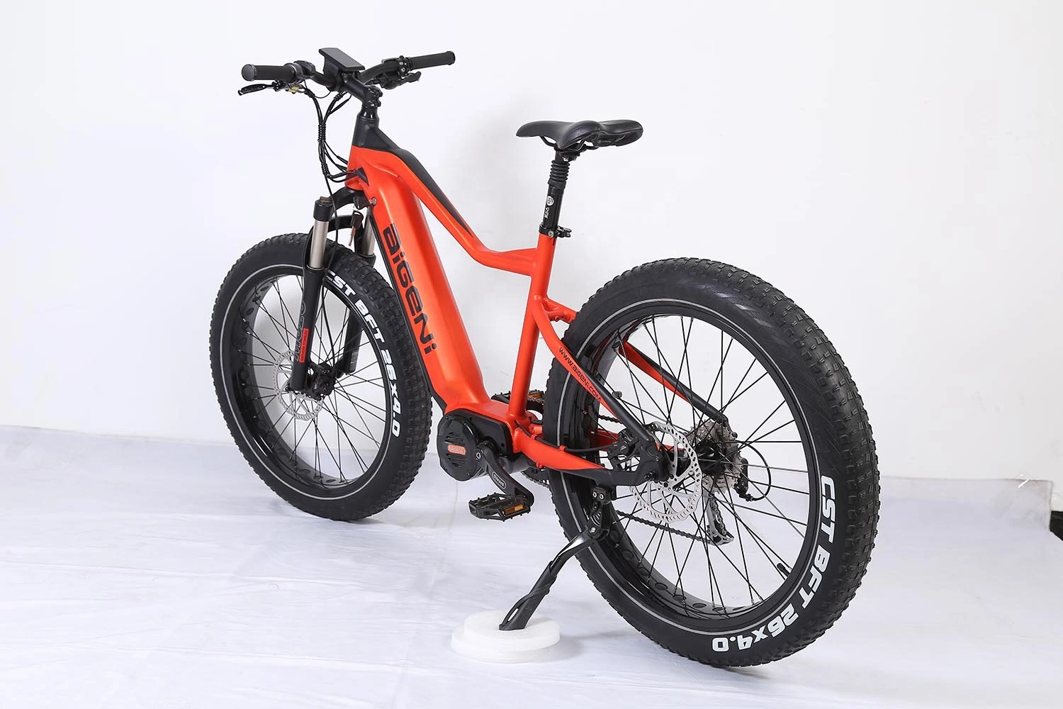 Strong 48V1000W M620 Middle Motor Powerful Electric Bike MTB E-Bike Retail Wholesale/Supplier