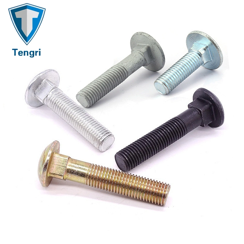 Carriage Bolt Mushroom Round Short Square Neck Head Bolt Coach Bolt Hex Bolt T Bolt U Bolt Toggle Bolt Anchor Bolt Screw Bolt Railway Bolts Lag Bolt in Stock