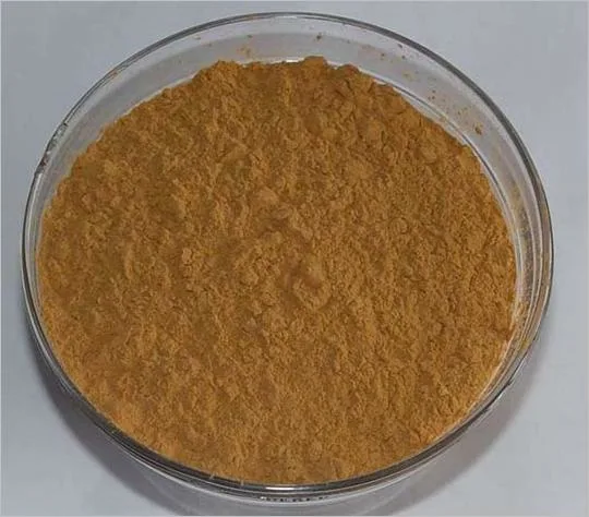 Les Lions Mane Extrait de champignons 10 %-50 % polysaccharide extrait Hericium Erinaceus Poudre