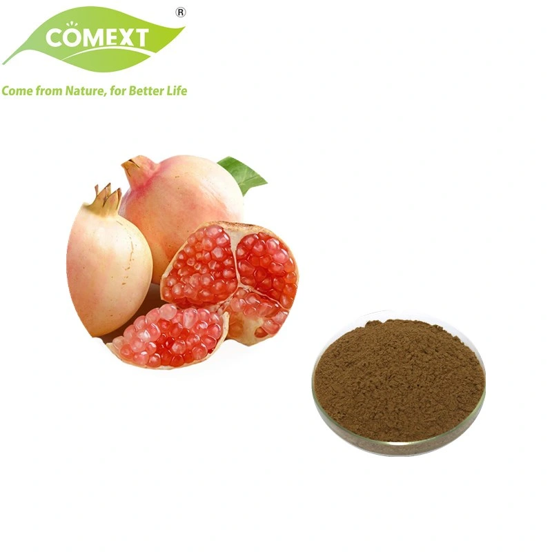 Comext Antioxidant Cosmetics Hot Sale Pomegranate 60% Polyphenols Extract