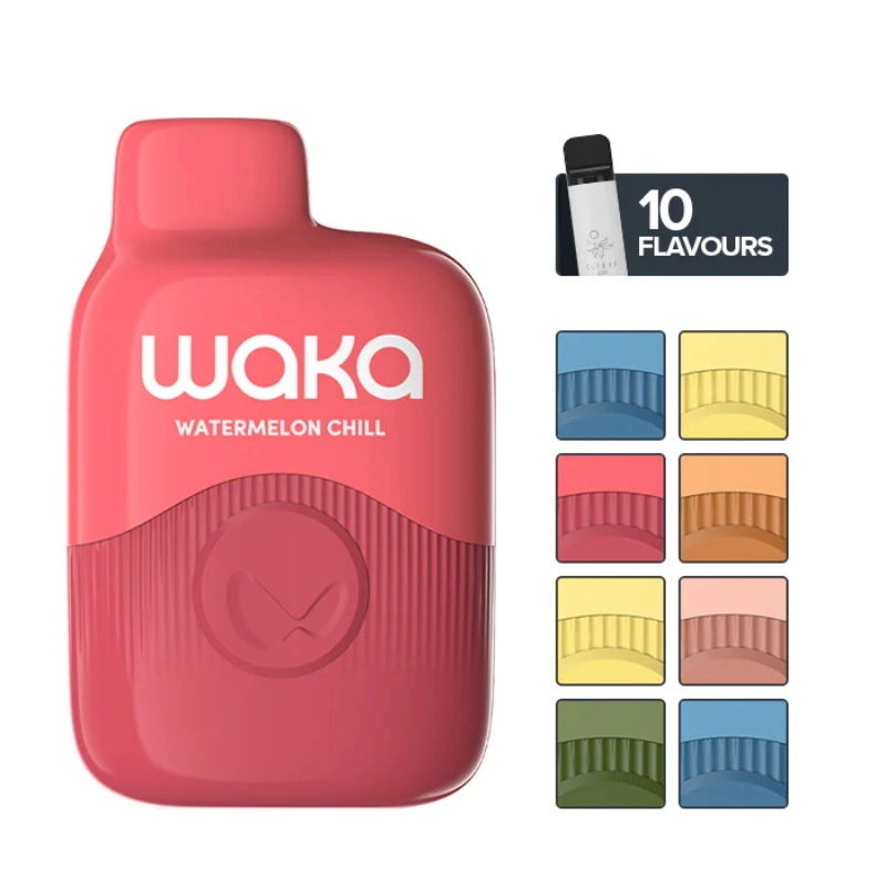 Wholesale Disposable Vape Vapanda Waka Sopro PA600 Puffs E-Cigarette-Atomizer