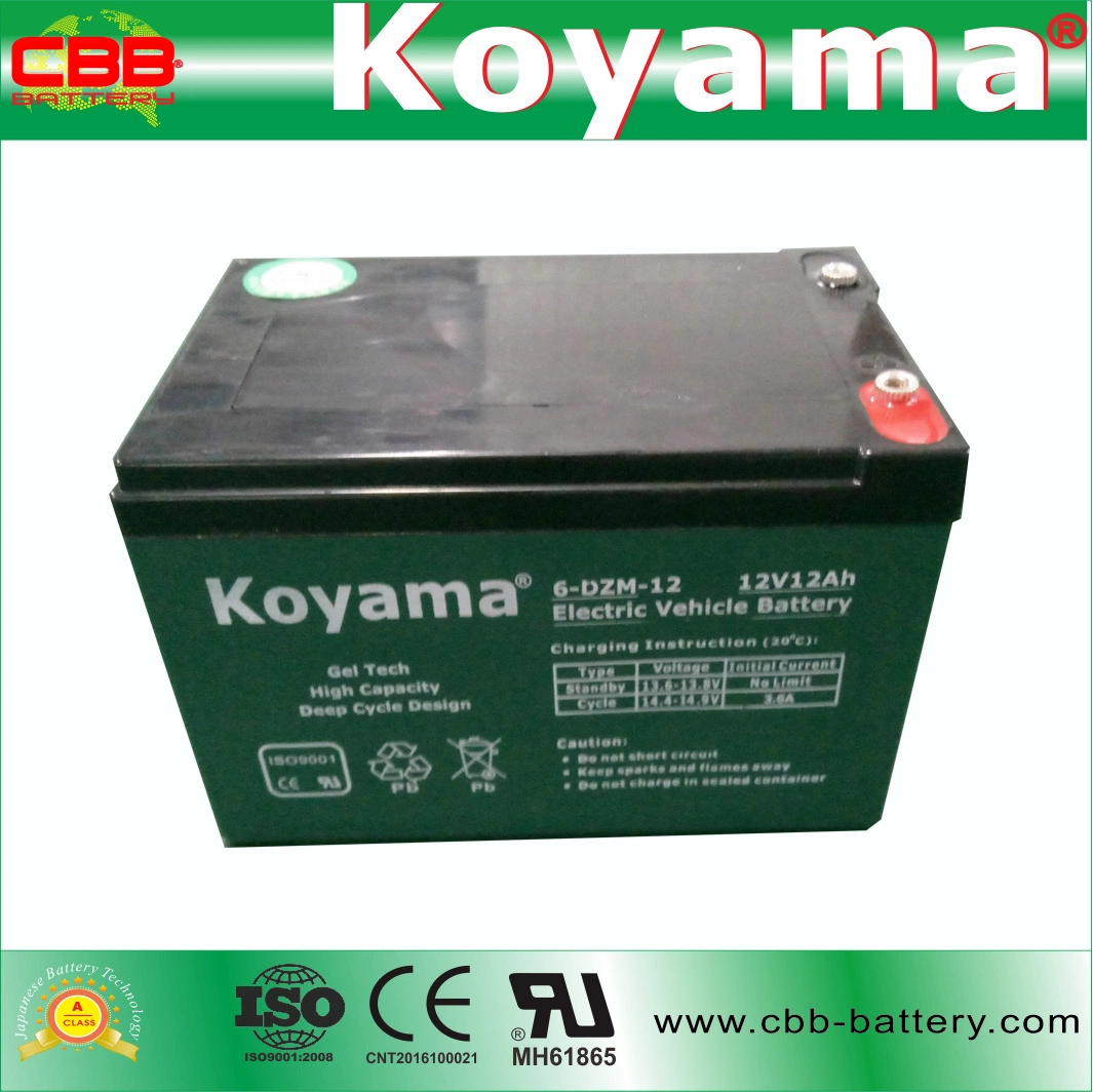 Koyama 12V24Ah Gel de alta capacidad técnica de diseño de ciclo profundo de la batería del vehículo eléctrico 6-Dzm-12