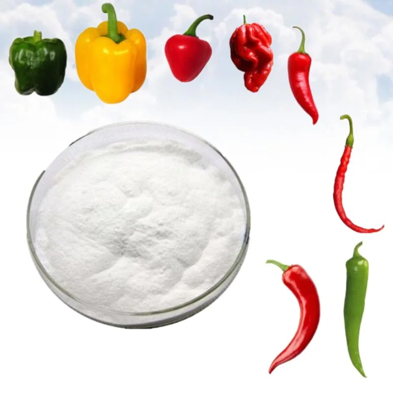 Piment d'extraire 95 % 98 % de la poudre de la capsaïcine synthétique SAE 2444-46-4 pour la vente