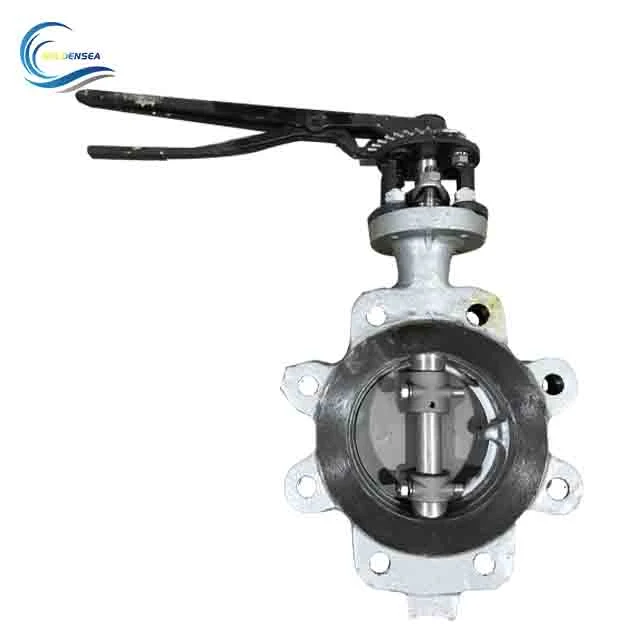 Wholesale/Supplier China Supplier ABS Approved JIS 5K/10K Cast Iron Valve Body Lug Butterfly Valve