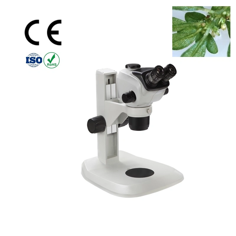 Laboratory Portable Binocular Zoom-Stereo Microscope with High Zoom Ratio 1: 6.8