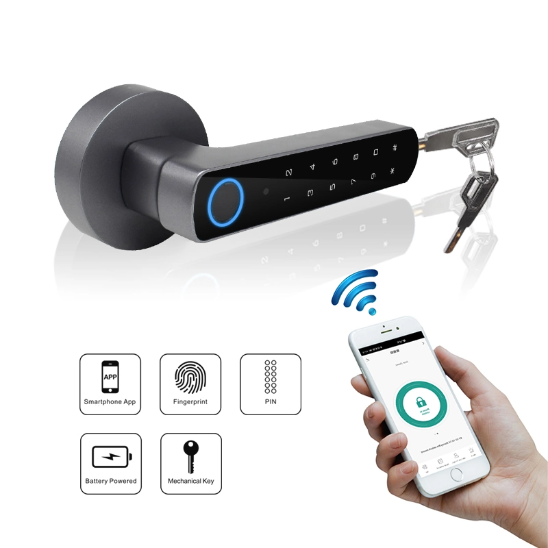 Application Bluetooth WiFi Tuya entrée sans clé d'empreintes digitales de serrure de porte à puce