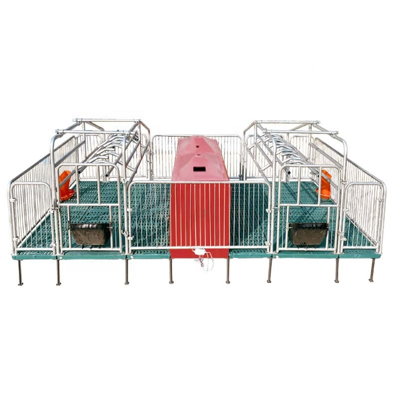 Pig Crate Fence Farrowing Cage for Pig Farming Equipment