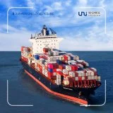 Professioneller Logistikagent Ocean Cargo Shipping von Shanghai, China nach Miami, Vereinigte Staaten von Amerika