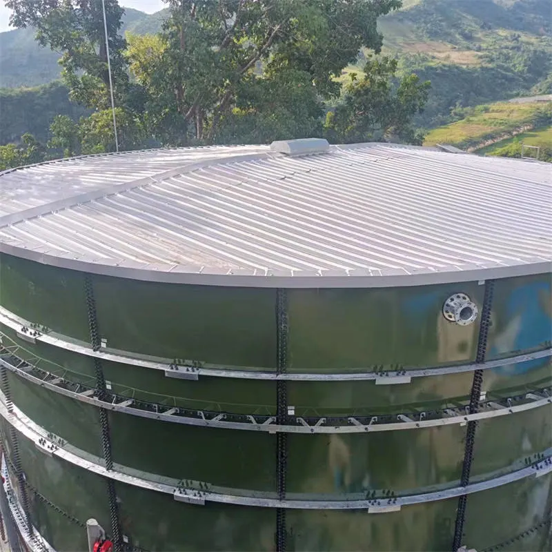 Proteção contra corrosão do depósito de armazenamento de biogás personalizável a cores