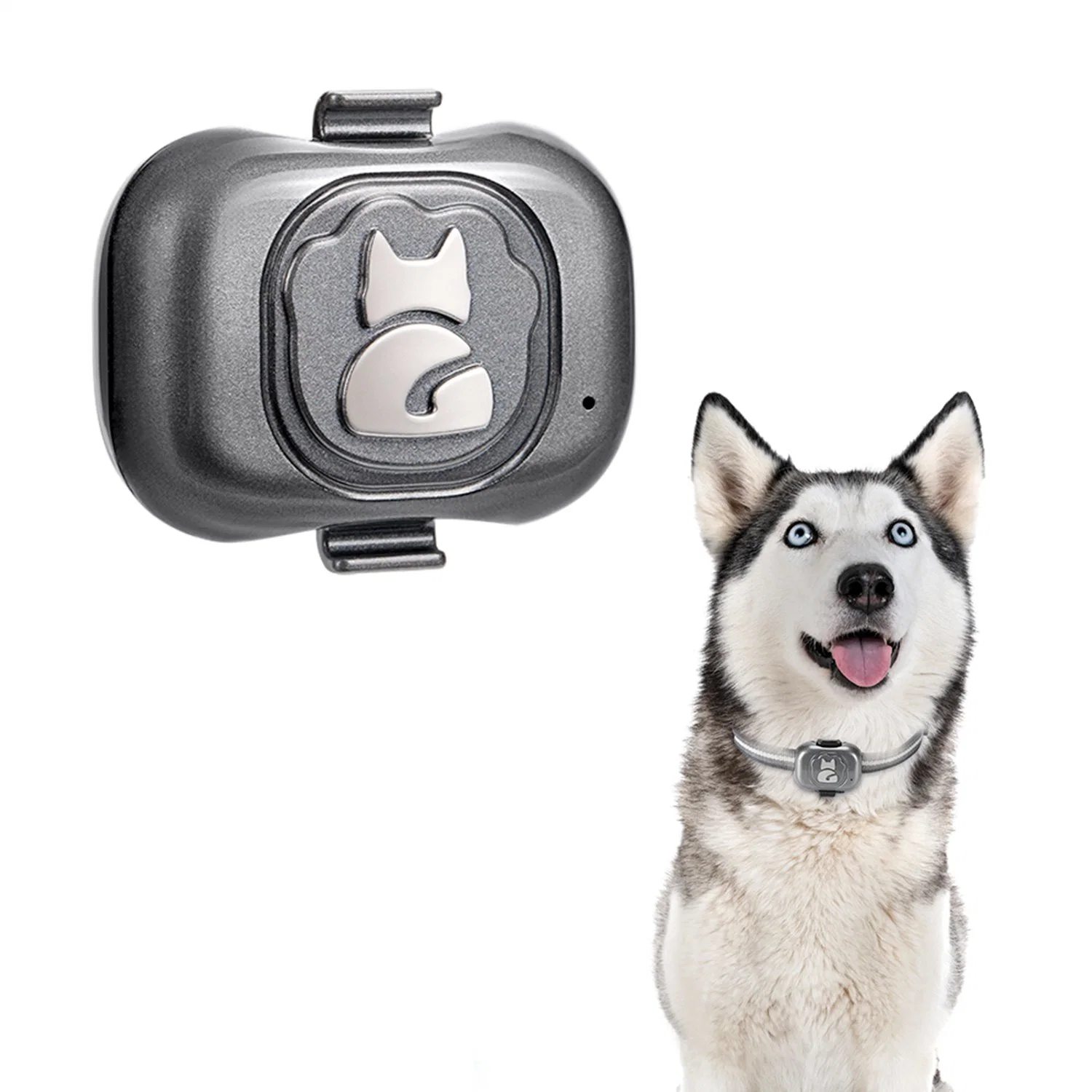 2G GSM ventes chaudes étanches Chats Chiens animaux Animaux GPS tracker pendentif dispositif de suivi avec configuration de zone de sécurité Y32