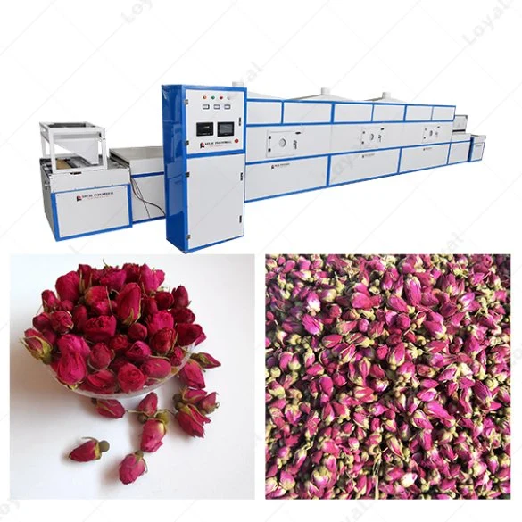 Industrial Tunnel Chamber Moringa Leaves Microwave Dryer Teas Herbs Microwave Sterilization Equipment Rose Flower Microwave Drying Oven