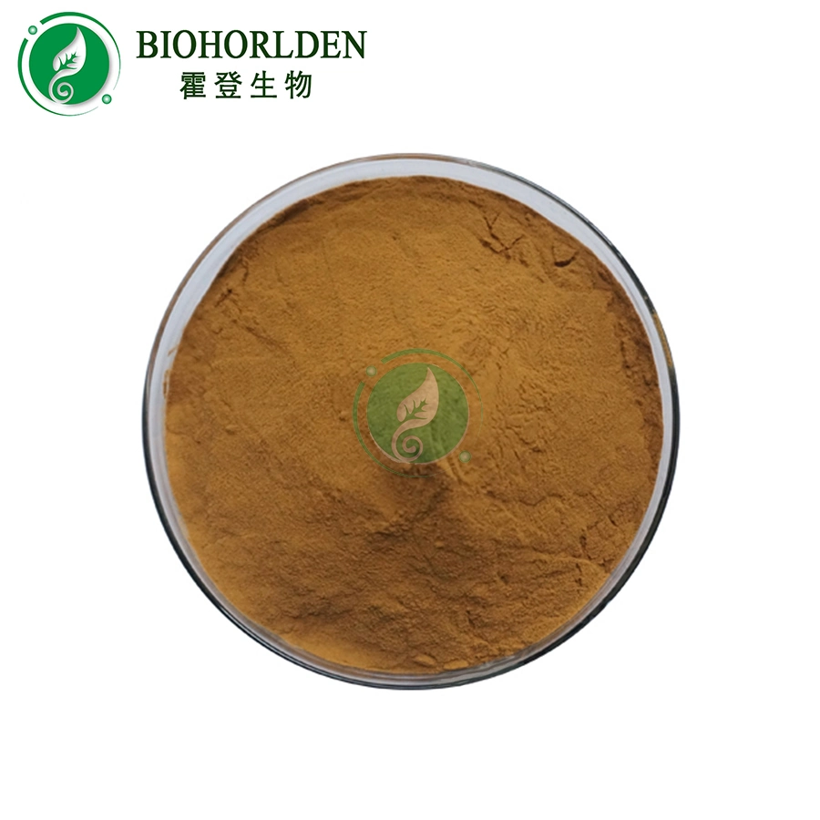 Health Care Supplement Organic Cistanche Tubulosa Extract Raw Powder Cistanche Tubulosa Extract