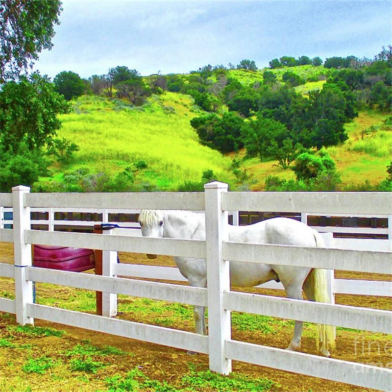 Factory Manufacture Aluminum Horse Fencing / Steel Horse Fencing /Horse Fencing, Safety Horse Fencing