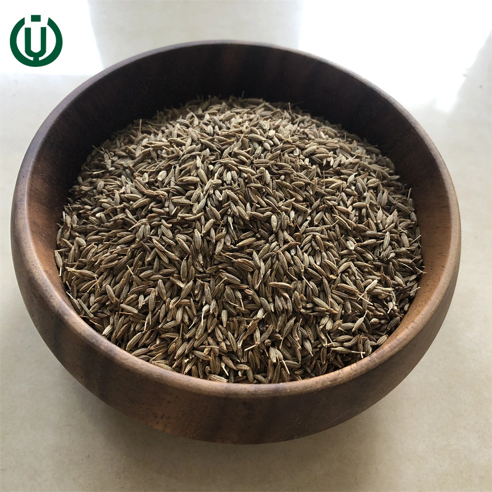 High quality/High cost performance Nature Cumin Seeds Wholesale/Supplier Spices