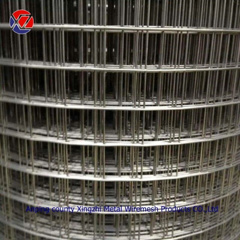 Hot Dipped Galvanized/PVC Coated Welded Iron Wire Mesh Roll