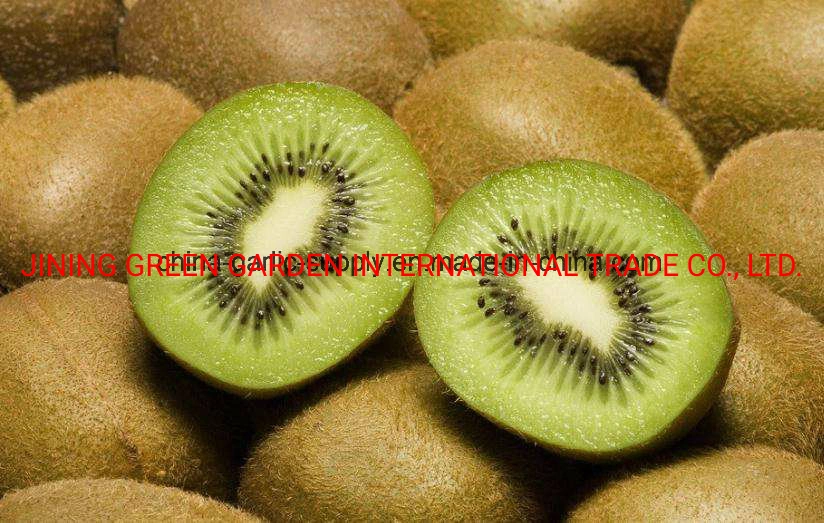 Comercio al por mayor de Kiwi fresca / Kiwi para la venta / buen precio calidad fresca fruta kiwi