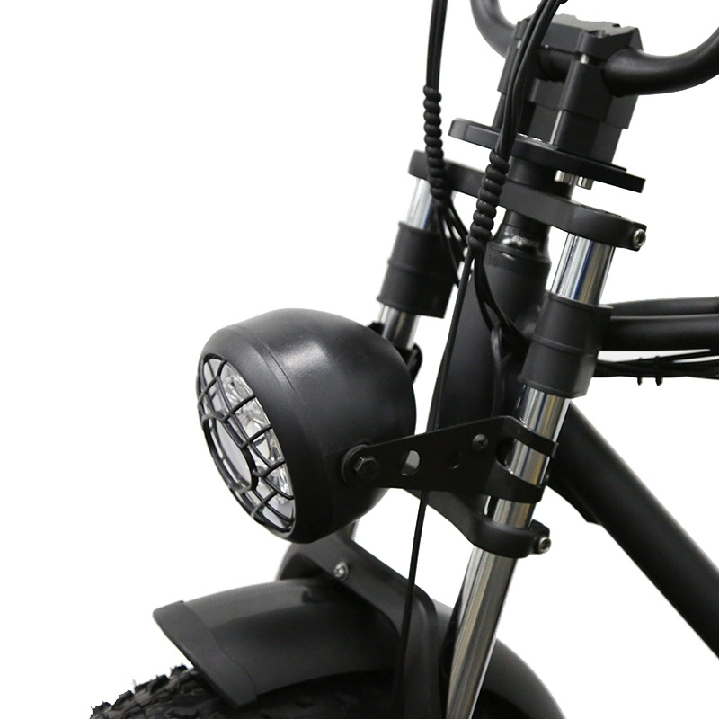 E Bike bicicleta eléctrica CE 750W 48V el buje trasero ligero motor bicicleta eléctrica bicicleta urbana