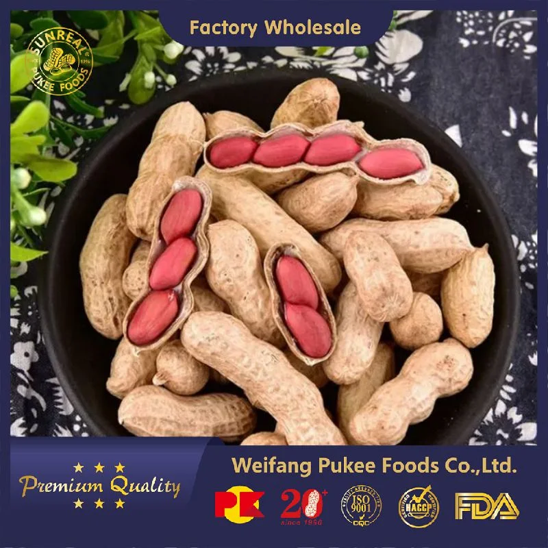 China Raw Red Skin Peanut in Shell/Best Quality/ Fine Packing