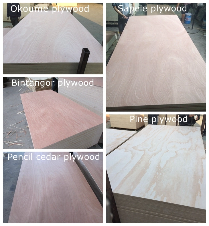 Natural Walnut/Beech/Maple/Oak/Ash/Teak/Okoume Veneer Fancy Plywood for Door and Furniture
