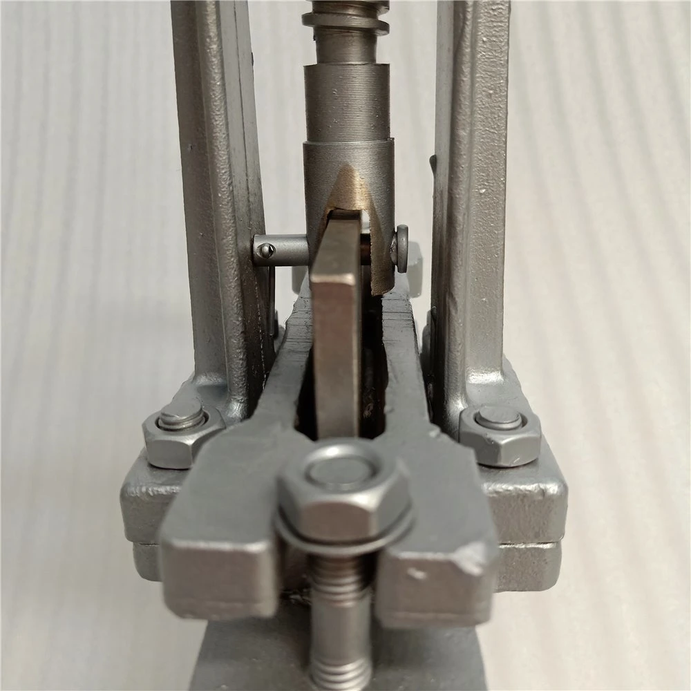 SS304 SS316 el aumento de la Junta de asiento de metal el vástago de la válvula de compuerta de la cuchilla