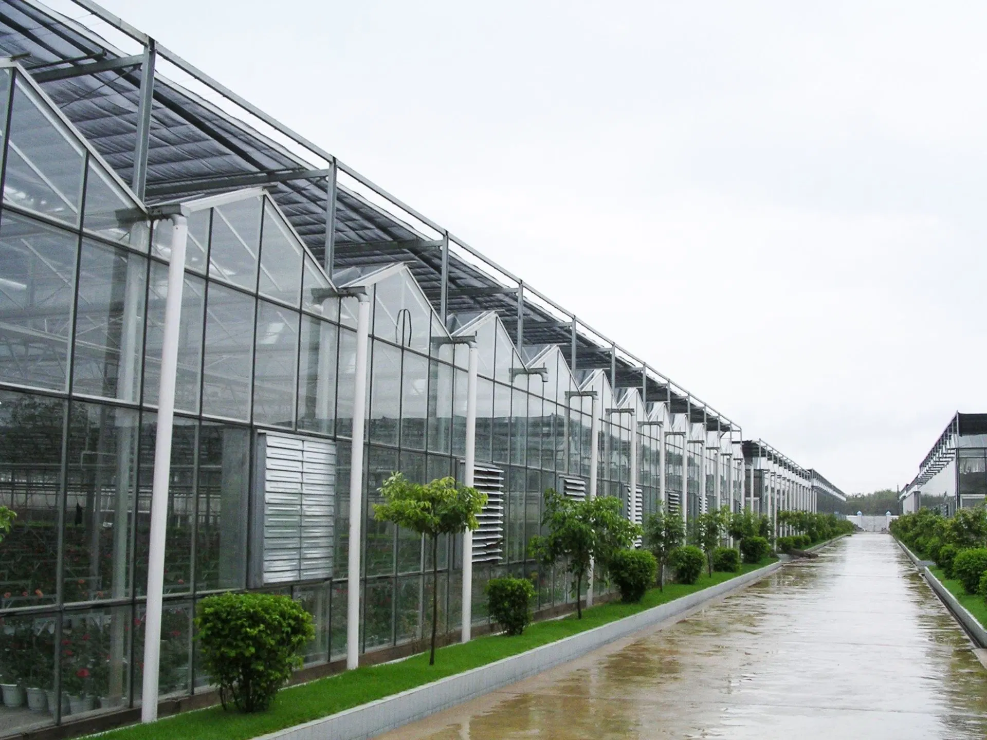Intelligentes hydroponisches Gewächshaus für Gemüse- und Blumengarten