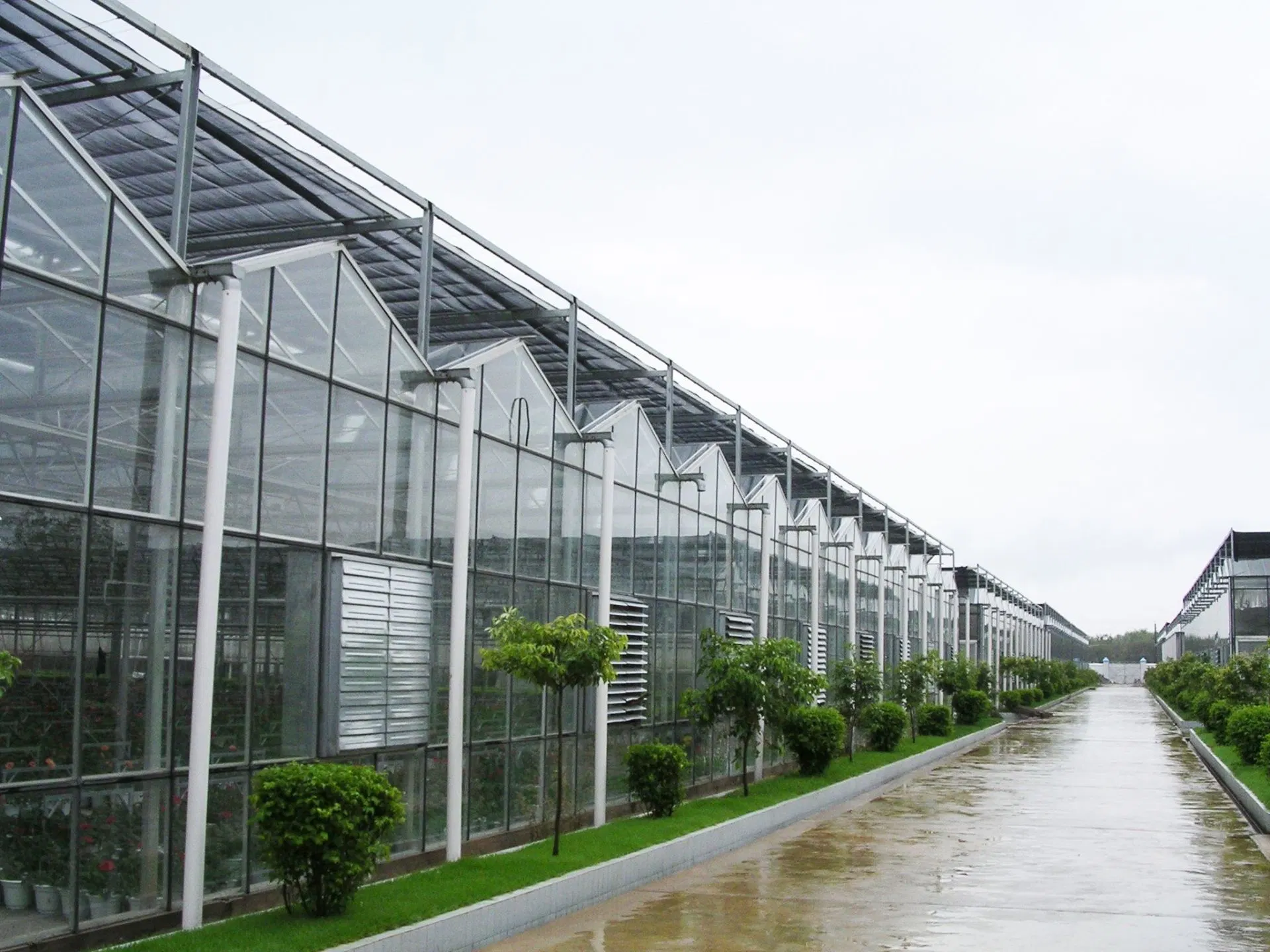 Smart Estufa Hidroponia em óleos vegetais e jardim de flores