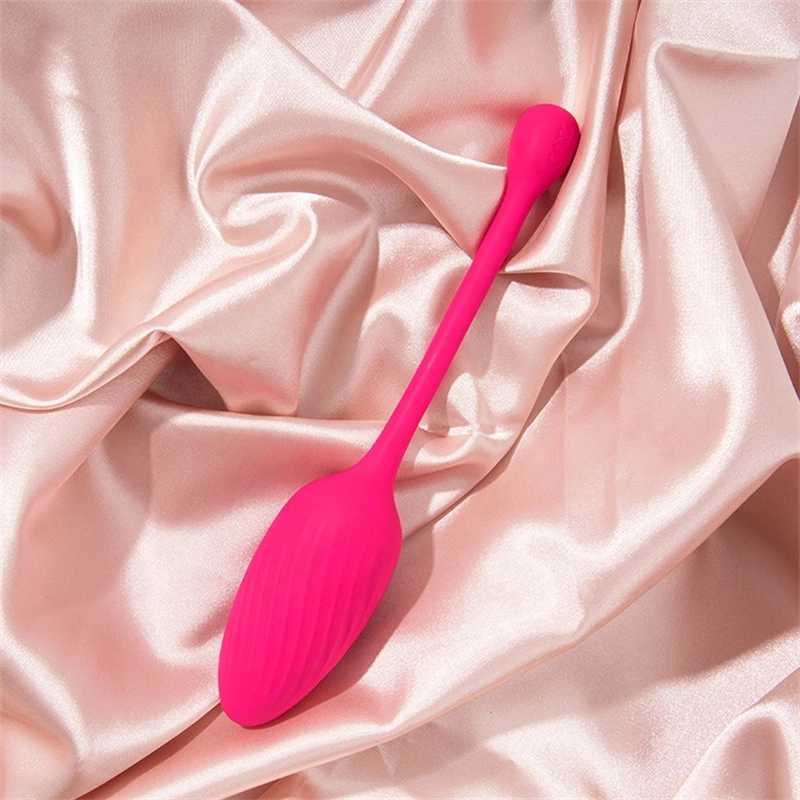 Popular Sex Toys Mini Dolphin Vibrator with APP Control